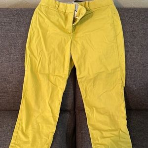 Women’s dress capris pants.